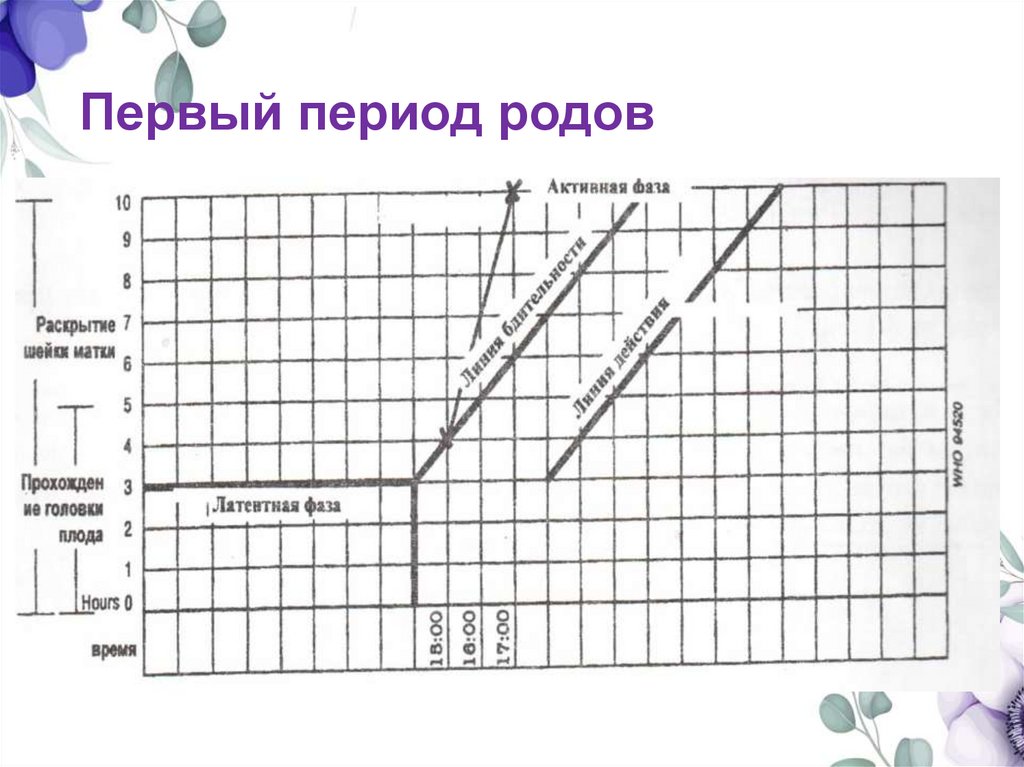 Первый период родов