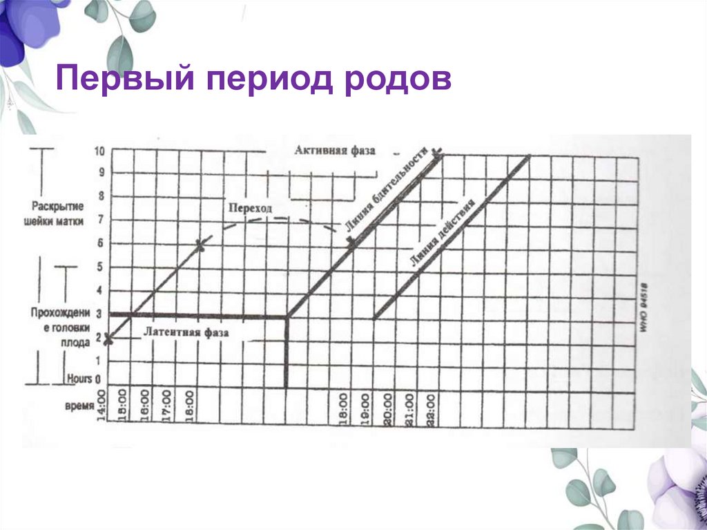 Первый период родов
