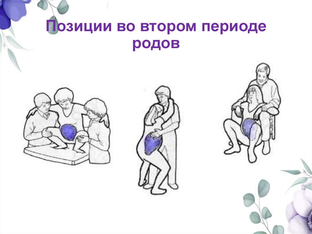 Позиции во втором периоде родов