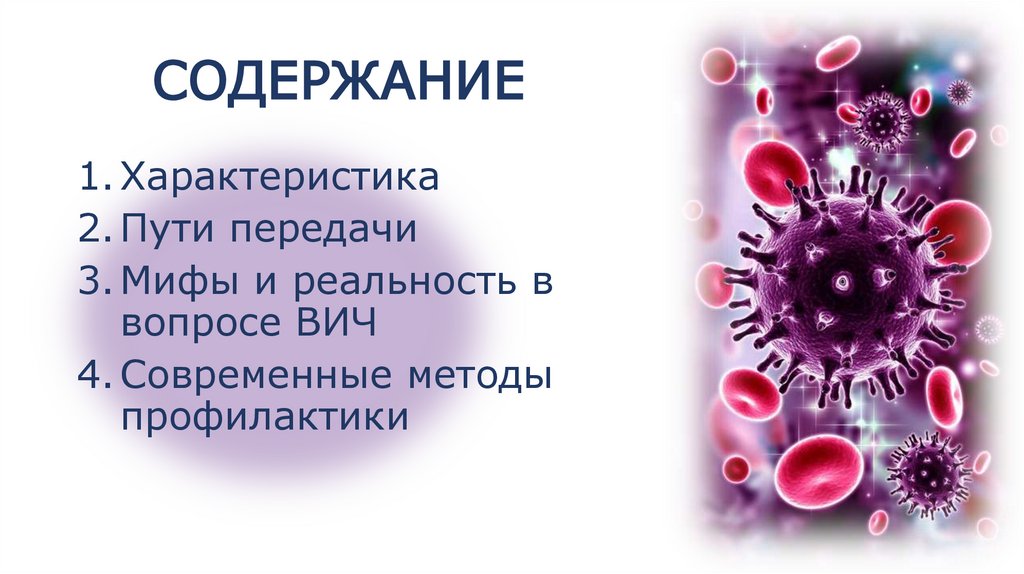 СОДЕРЖАНИЕ