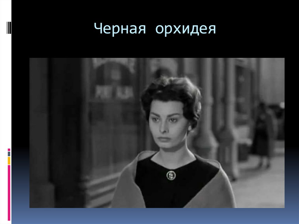 Черная орхидея