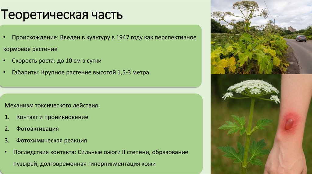 Теоретическая часть