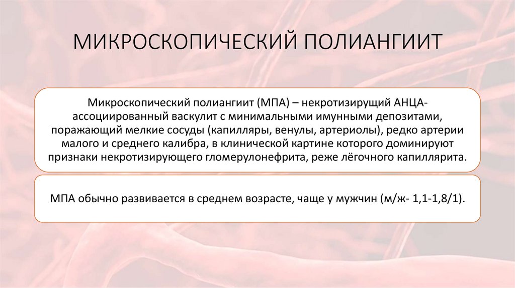 МИКРОСКОПИЧЕСКИЙ ПОЛИАНГИИТ