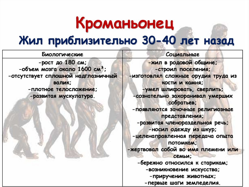 Кроманьонец