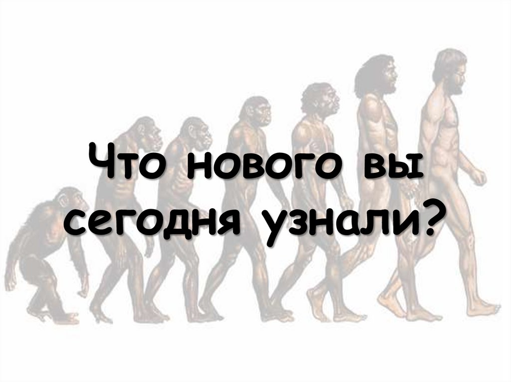 Что нового вы сегодня узнали?