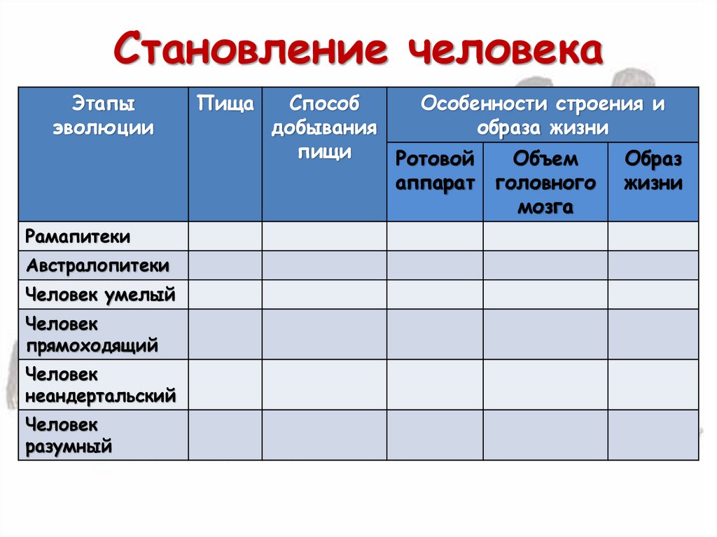 Становление человека