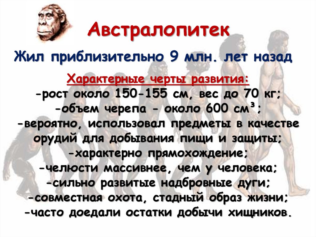 Австралопитек