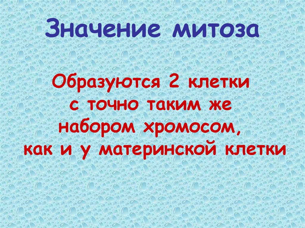 Значение митоза