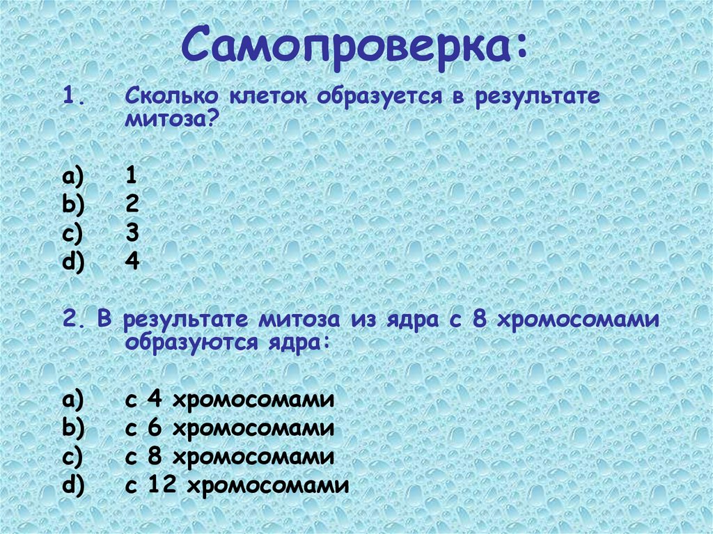 Самопроверка: