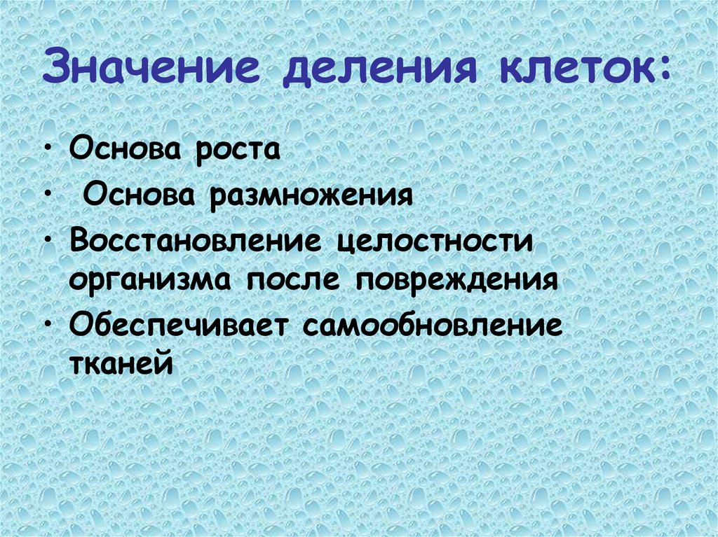 Значение деления клеток: