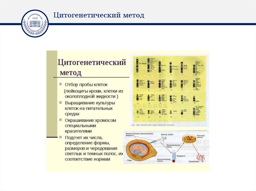 Цитогенетический метод