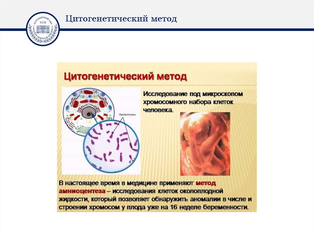 Цитогенетический метод