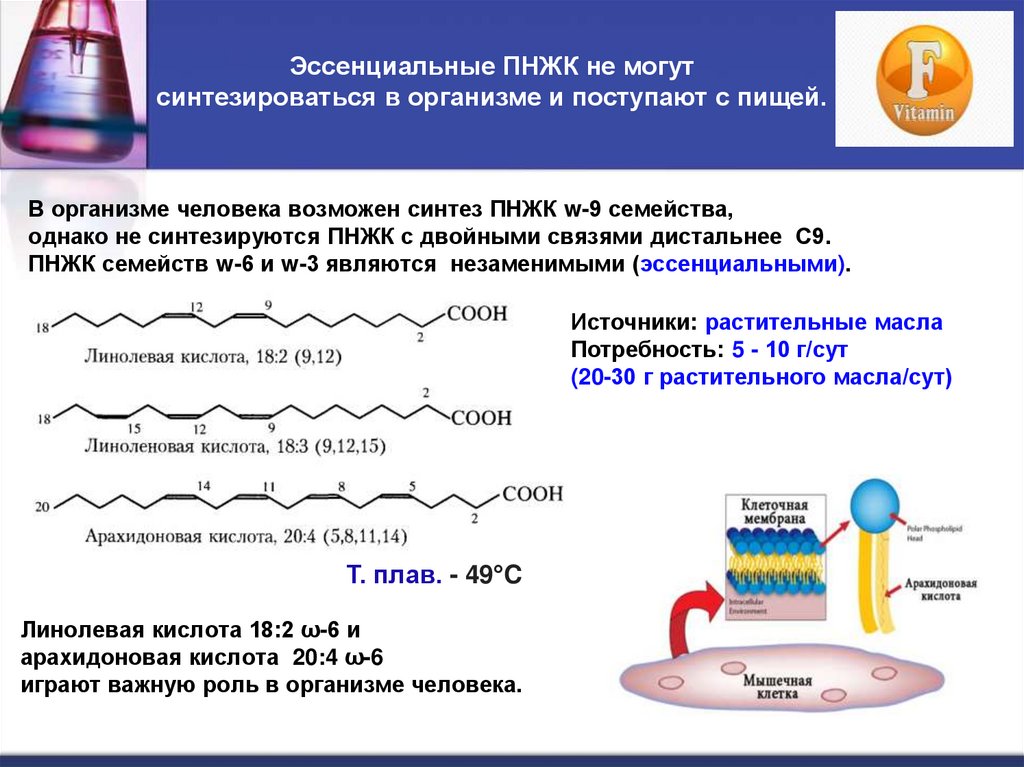 Эссенциальные ПНЖК не могут синтезироваться в организме и поступают с пищей.