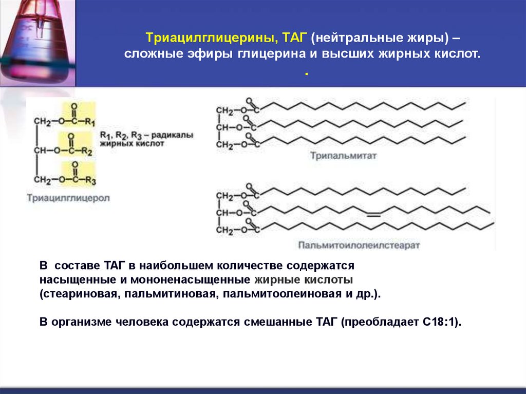 Триацилглицерины, ТАГ (нейтральные жиры) – сложные эфиры глицерина и высших жирных кислот. .