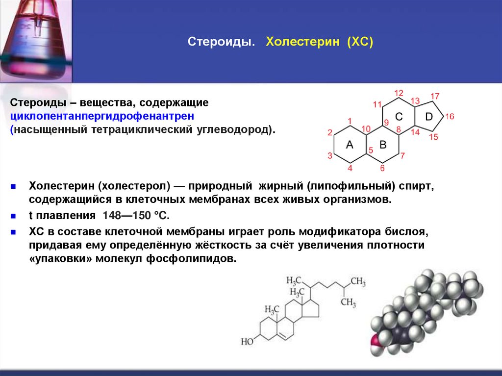 Стероиды. Холестерин (ХС)