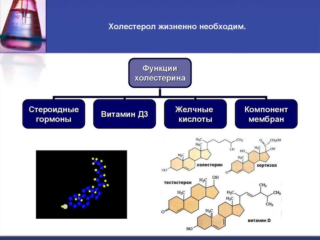 Холестерол жизненно необходим.