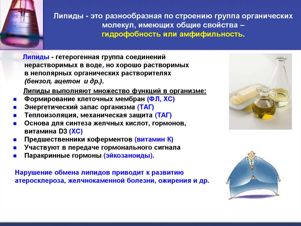 Липиды - это разнообразная по строению группа органических молекул, имеющих общие свойства – гидрофобность или амфифильность.