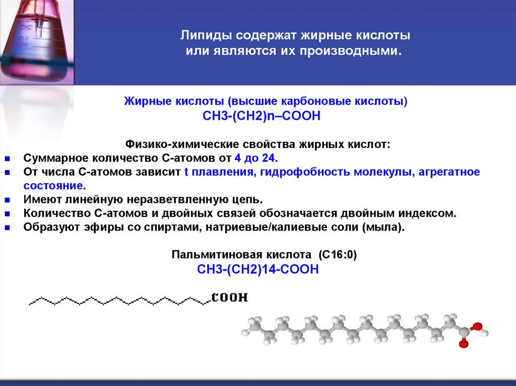 Липиды содержат жирные кислоты или являются их производными.