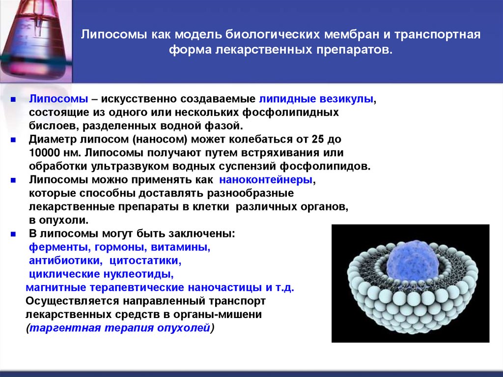 Липосомы как модель биологических мембран и транспортная форма лекарственных препаратов.