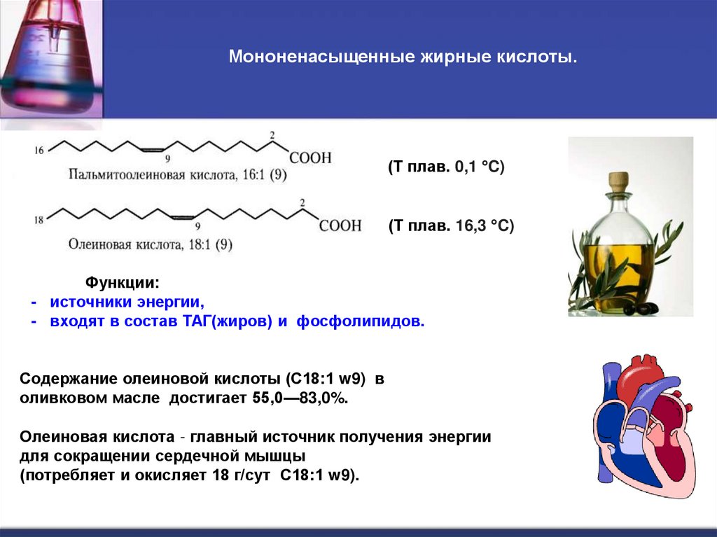 Мононенасыщенные жирные кислоты.