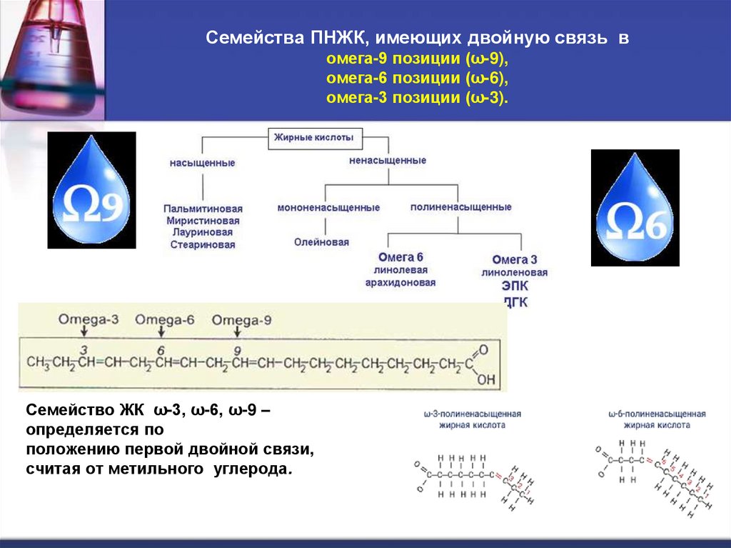 Семейства ПНЖК, имеющих двойную связь в омега-9 позиции (ω-9), омега-6 позиции (ω-6), омега-3 позиции (ω-3).