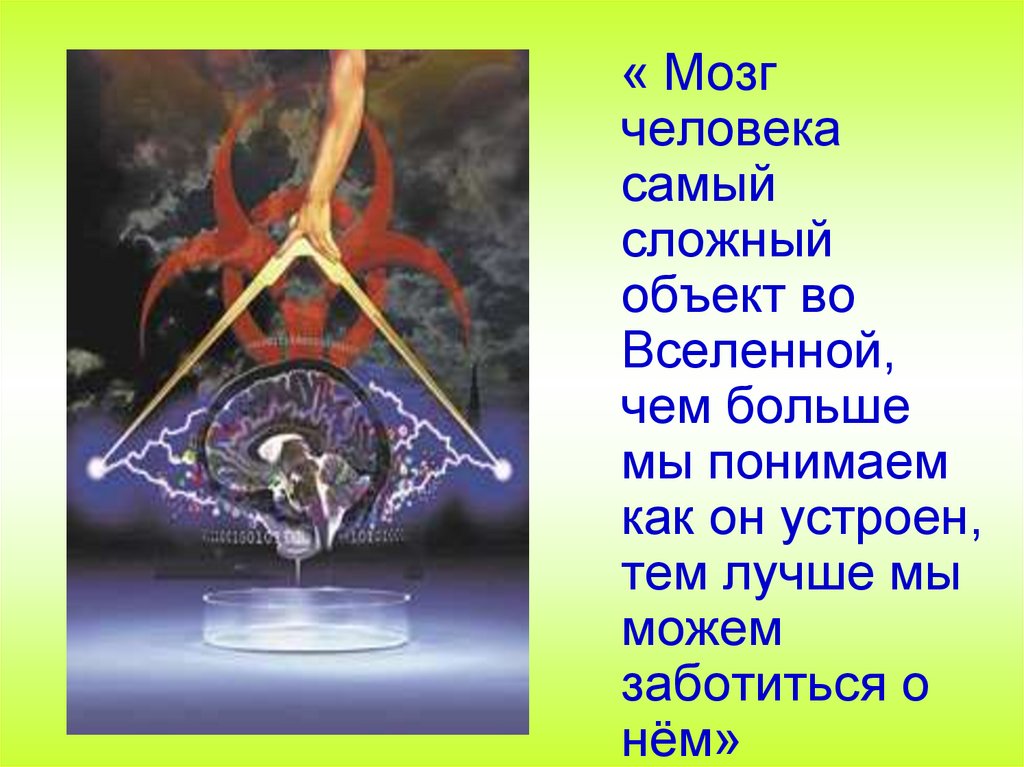 Томограмма головного мозга.