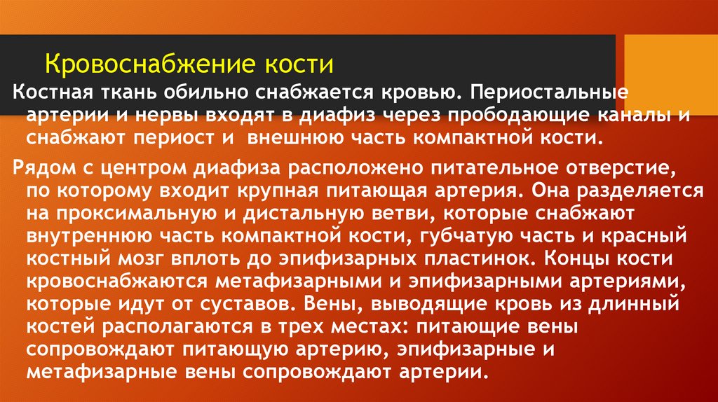 Кровоснабжение кости