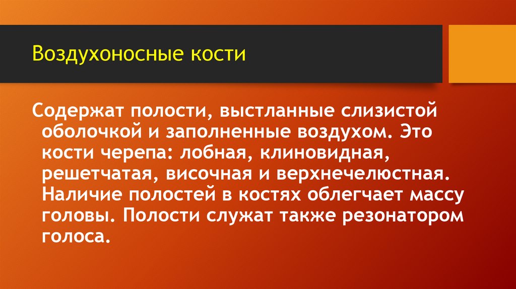 Воздухоносные кости