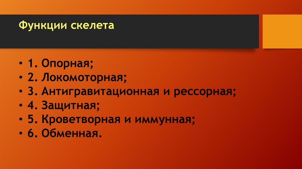 Функции скелета