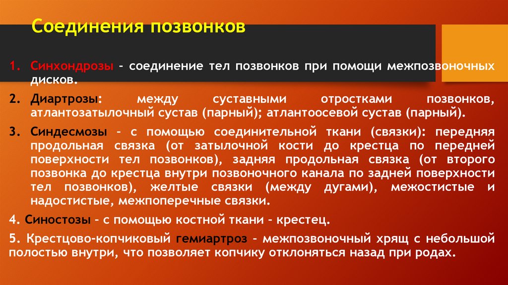 Соединения позвонков