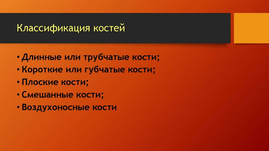 Классификация костей