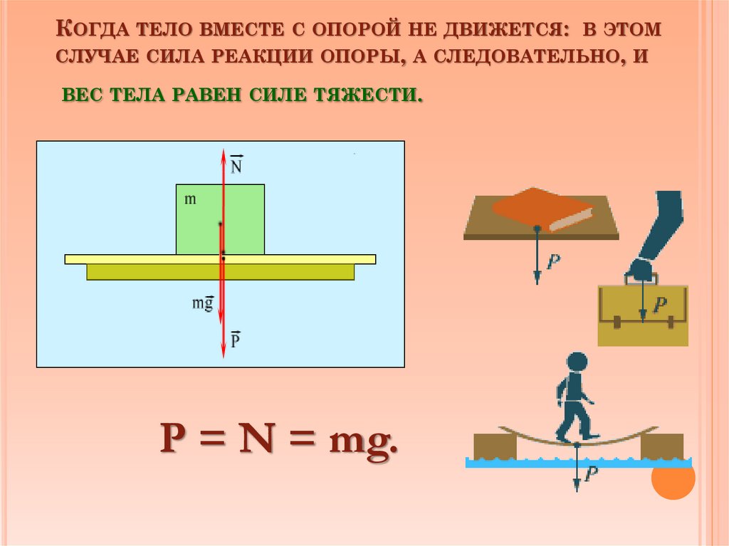 Когда тело вместе с опорой не движется: в этом случае сила реакции опоры, а следовательно, и вес тела равен силе тяжести.