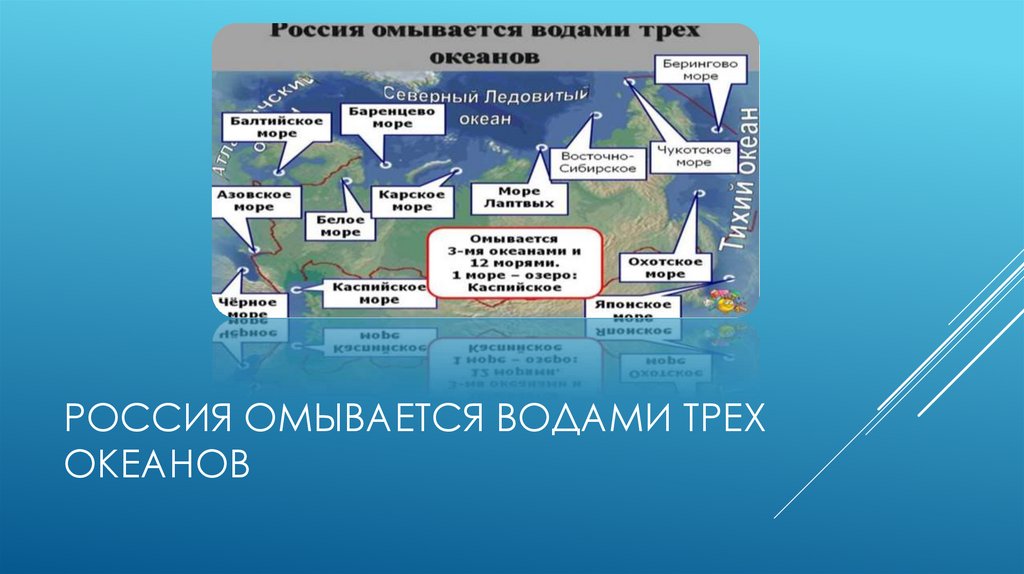 Россия омывается водами трех океанов