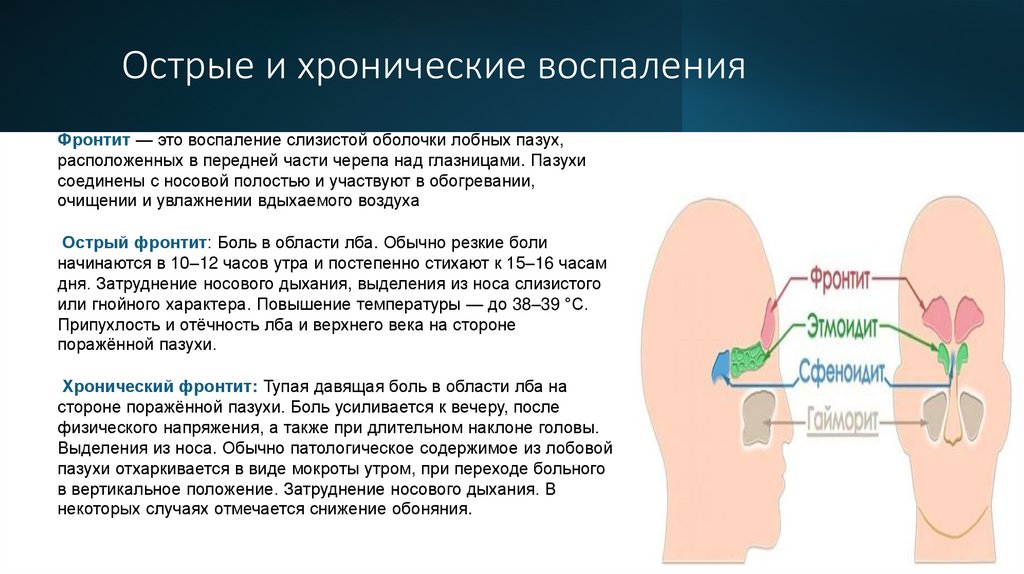 Острые и хронические воспаления