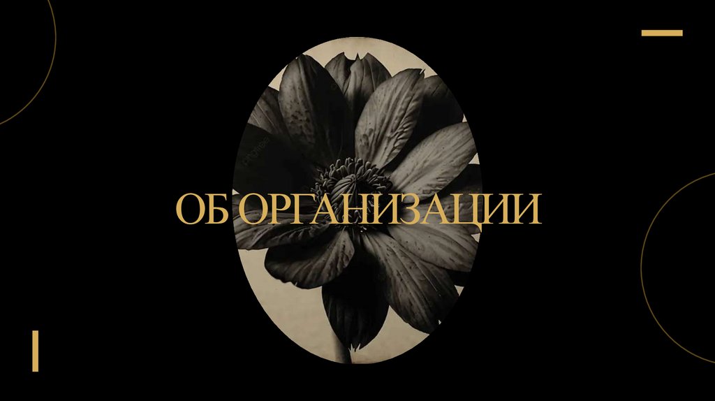 Об организации