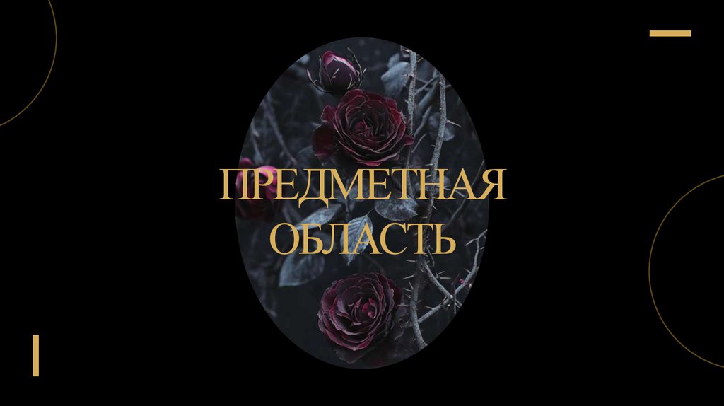 Предметная область