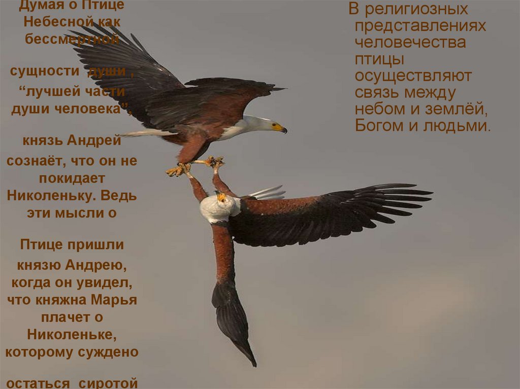 Думая о Птице Небесной как бессмертной сущности души , “лучшей части души человека”, князь Андрей сознаёт, что он не покидает