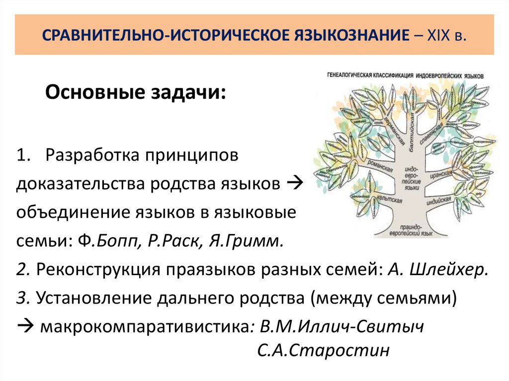 СРАВНИТЕЛЬНО-ИСТОРИЧЕСКОЕ ЯЗЫКОЗНАНИЕ – XIX в.