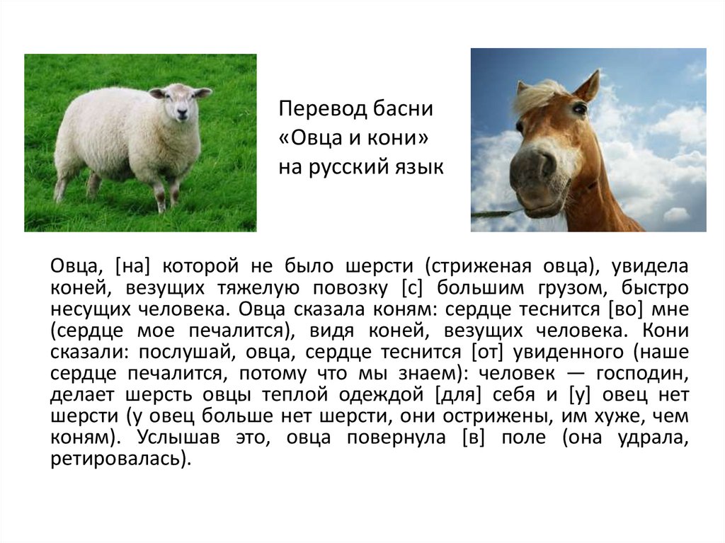 Перевод басни «Овца и кони» на русский язык