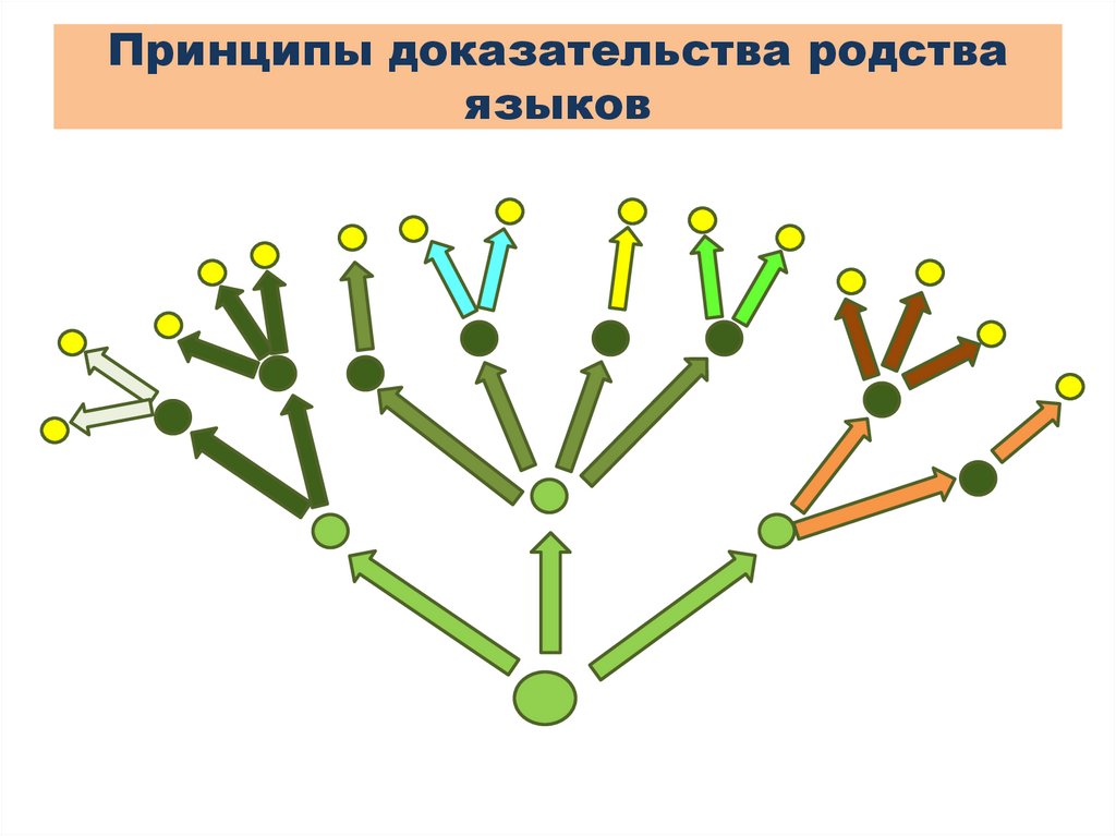 Принципы доказательства родства языков
