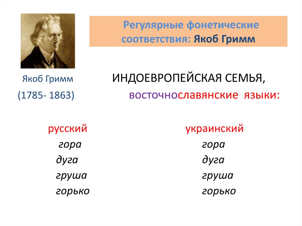 Регулярные фонетические соответствия: Якоб Гримм