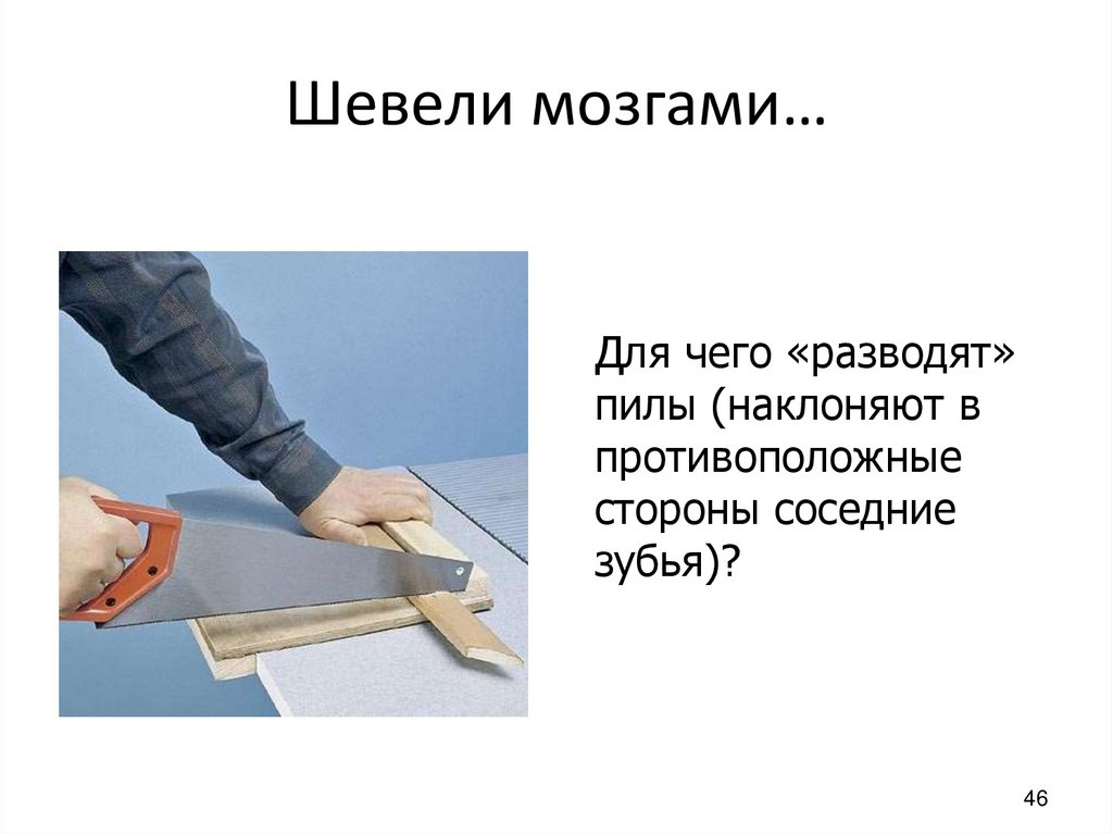 Шевели мозгами…