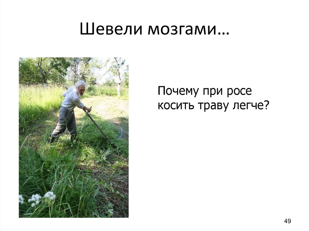 Шевели мозгами…