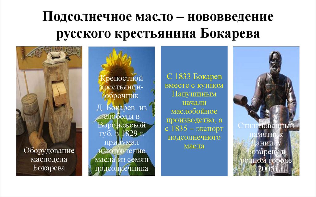 Подсолнечное масло – нововведение русского крестьянина Бокарева