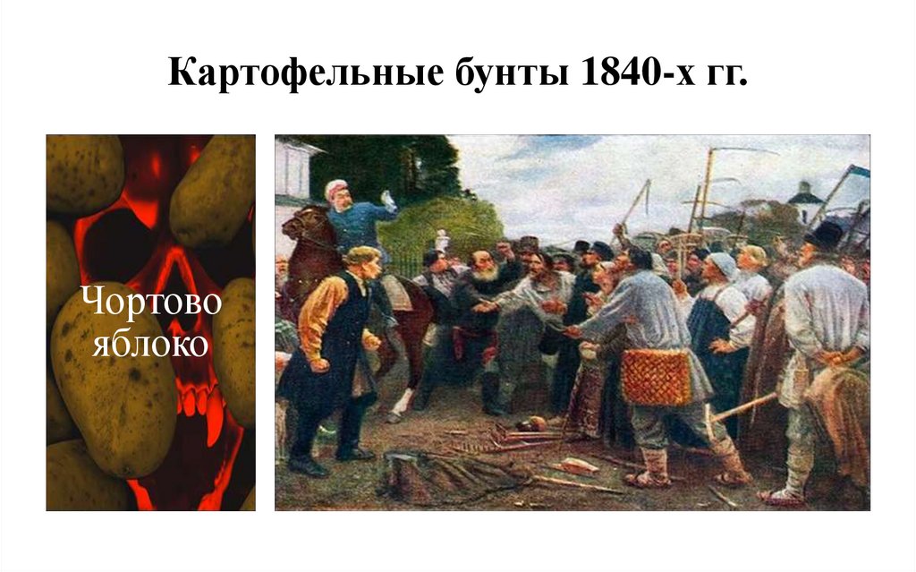 Картофельные бунты 1840-х гг.