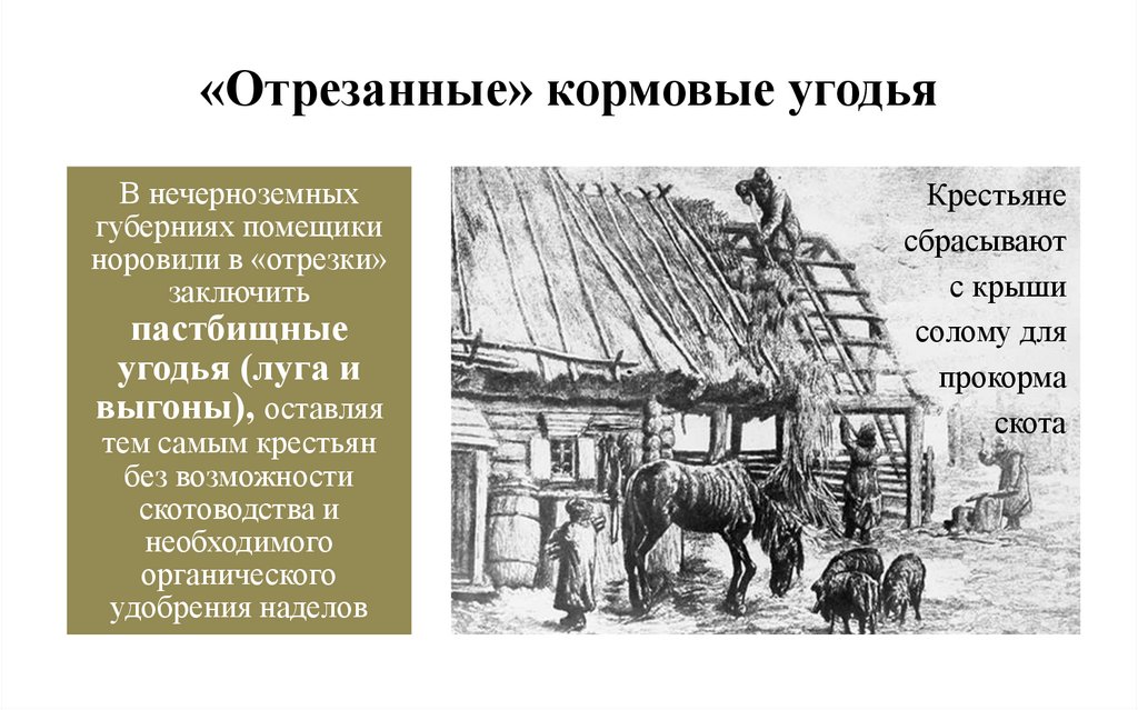 «Отрезанные» кормовые угодья