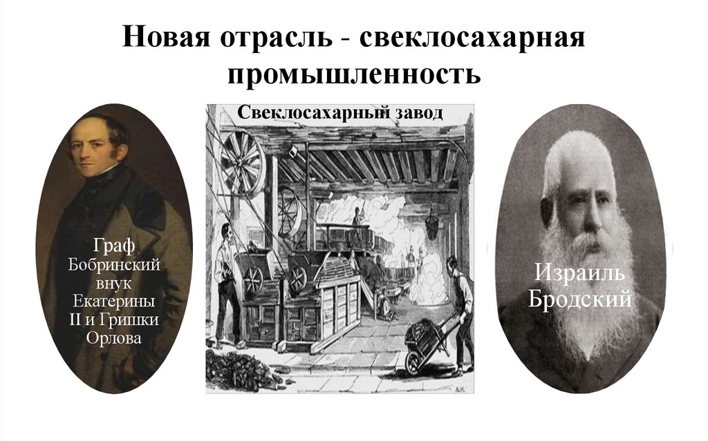 Новая отрасль - свеклосахарная промышленность