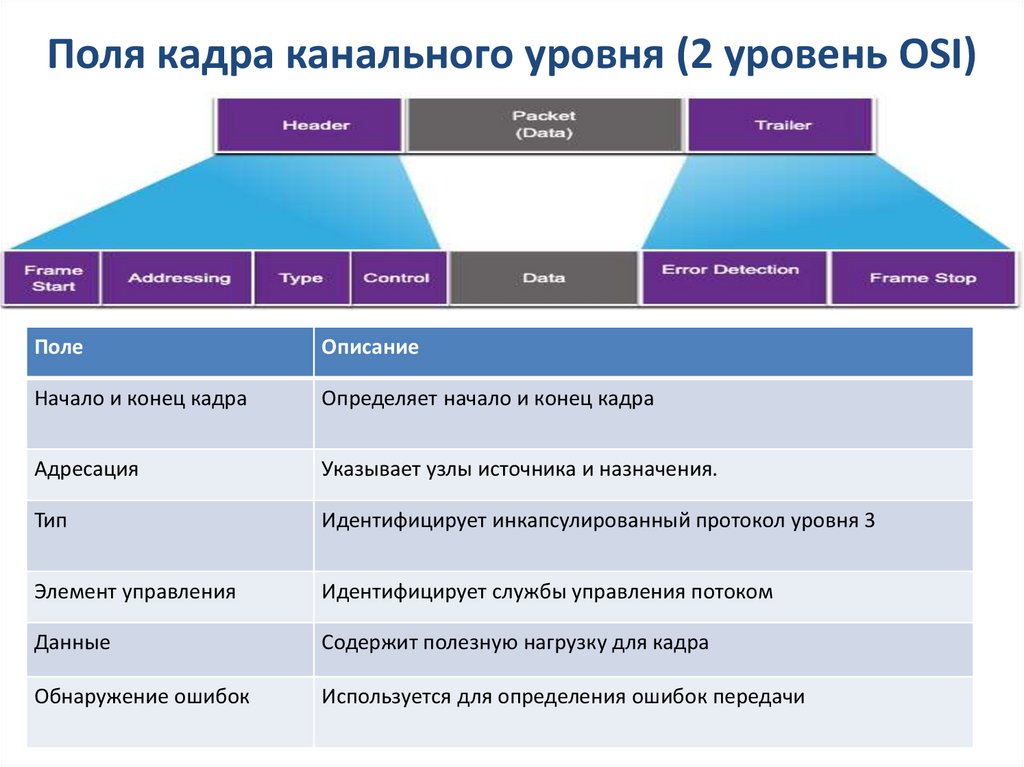 Поля кадра канального уровня (2 уровень OSI)