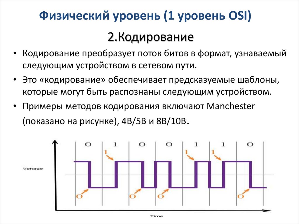 Физический уровень (1 уровень OSI)