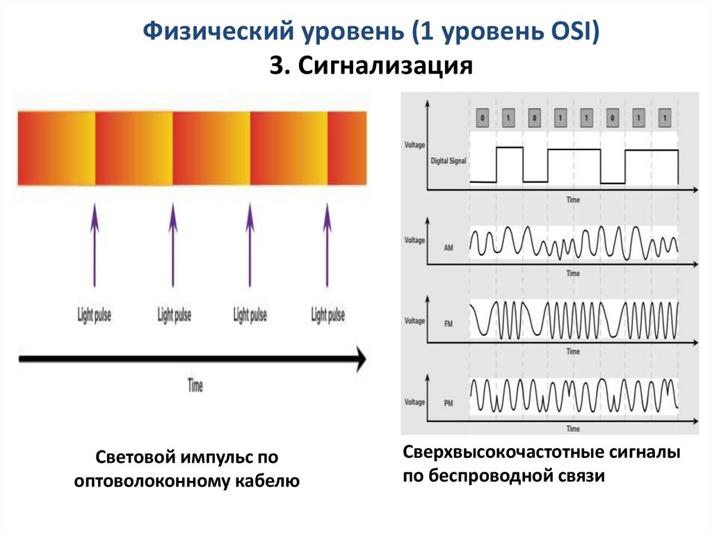 Физический уровень (1 уровень OSI) 3. Сигнализация